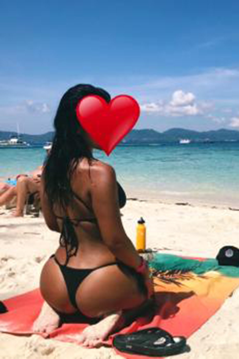 �h���S�����[ �ڍ�